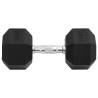 20 kg Cast Iron Dumbbell - Durable & Versatile Workout