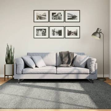 Shaggy Rug High Pile Modern Green 200x200 cm - Hipomarket UK