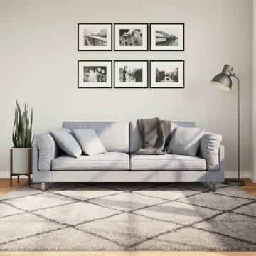 Shaggy Rug High Pile Modern Beige & Anthracite 200x200 cm