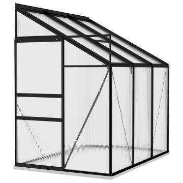 Greenhouse Anthracite Aluminium 3.97 m³ - Spacious Plant Haven