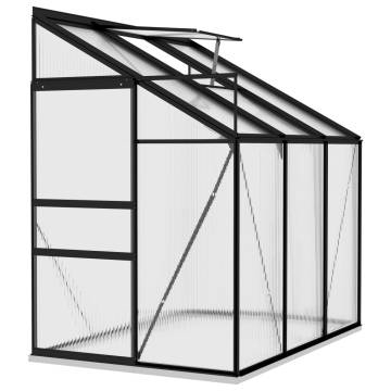 Greenhouse Anthracite Aluminium 3.97 m³ - Spacious Plant Haven