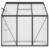 Greenhouse Anthracite Aluminium 3.97 m³ - Spacious Plant Haven