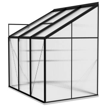 Greenhouse Anthracite Aluminium 3.97 m³ - Spacious Plant Haven