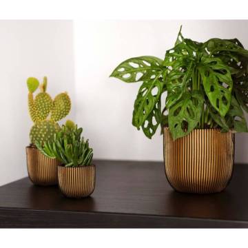 Capi 4 Piece Planter Set Groove Gold - Elevate Your Space