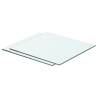 Shelves 2 pcs Panel Glass Clear 40x30 cm Size 40 x 30 cm Quantity in Package 2 Number of Pieces 1 