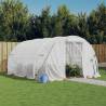 Greenhouse with Steel Frame White 12 m² 4x3x2 m Colour white Size 4 x 3 x 2 m Quantity in Package 1 