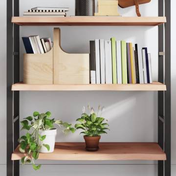 Wall Shelf 100x60 cm Untreated Solid Wood Oak - HipoMarket