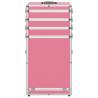 Aluminium Pink Make-up Trolley | Organize Cosmetics with Style