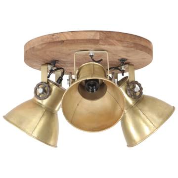 Industrial Ceiling Lamp 25W Brass - Unique Home Lighting