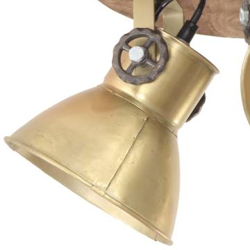 Industrial Ceiling Lamp 25W Brass - Unique Home Lighting