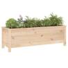 Garden Raised Bed 119.5x40x39 cm - Solid Pine Wood