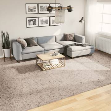 Shaggy Rug High Pile Modern Beige 300x400 cm - Hipomarket