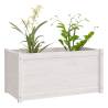 White Solid Pinewood Garden Planters - 2 pcs 100x50x50 cm