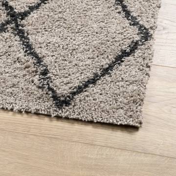 Shaggy Rug High Pile Beige & Anthracite 100x200 cm | HipoMarket