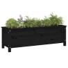 Garden Raised Bed Black 119.5x40x39 cm Solid Wood Pine