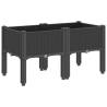 Garden Planter with Legs - Black 80x40x42 cm | HipoMarket