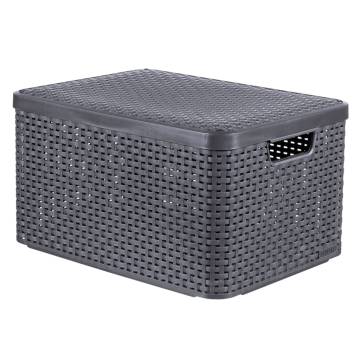 Curver Storage Box with Lid Style L 30L - Metallic Silver