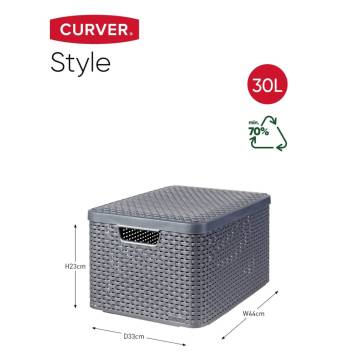 Curver Storage Box with Lid Style L 30L - Metallic Silver