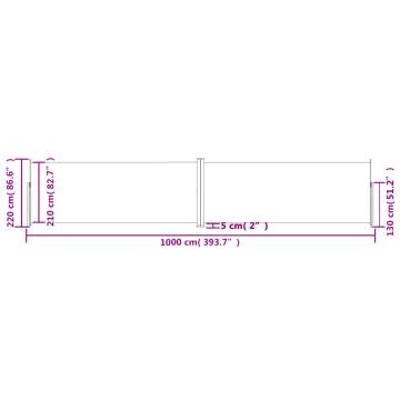 Retractable Side Awning Anthracite 220x1000 cm | HipoMarket