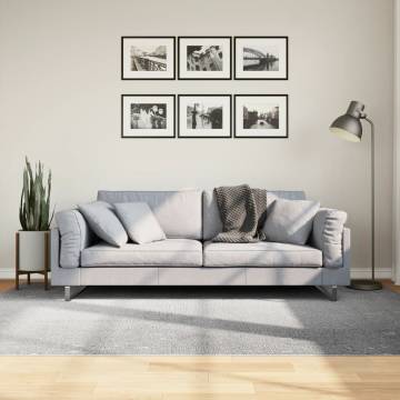 Rug IZA Short Pile Scandinavian Look Grey 160x230 cm - Hipomarket