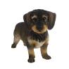 Esschert Design Wirehaired Dachshund Statue - 50x15x27.8cm