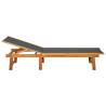 Stylish Acacia Wood Sun Lounger with Textilene | Hipo Market