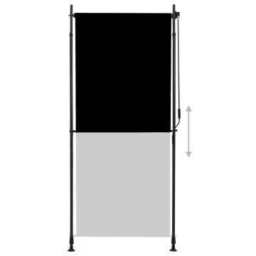 Outdoor Roller Blind 100x270 cm - Anthracite Shade & Privacy