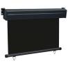 Stylish Balcony Side Awning 105x250 cm - Black