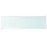 Shelf Panel Glass Clear 100x30 cm - Durable & Stylish Display