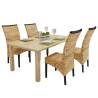 Stylish Dining Chairs Set of 4 - Abaca & Solid Mango Wood