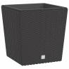 Rattan Planter with Removable Inner - 21/32L Brown
