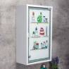 HI Medicine Cabinet - Stainless Steel 30x15x50 cm | HipoMarket