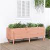 Garden Raised Bed 160x50x57 cm Solid Wood Douglas Colour natural douglas Size 160 x 50 x 57 cm Quantity in Package 1 