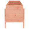 Garden Raised Bed 160x50x57 cm Solid Wood Douglas - Hipomarket