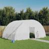 Greenhouse with Steel Frame White 24 m² 6x4x2.85 m Colour white Size 6 x 4 x 2.85 m Quantity in Package 1 