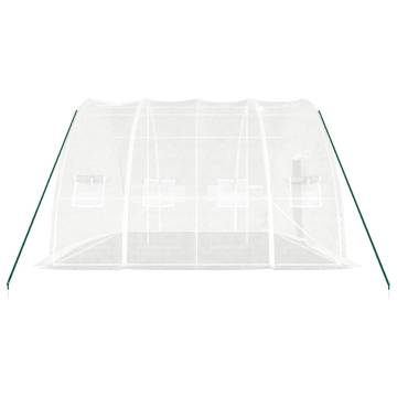 Durable 24 m² Greenhouse with Steel Frame - Hipomarket UK