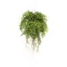 Emerald Artificial Hanging Fern with Roots 55 cm Size 55 cm Quantity in Package 1 