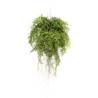 Emerald Artificial Hanging Fern with Roots - 55 cm