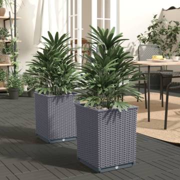 Planters 2 pcs Dark Grey - Stylish Garden Decor | HipoMarket