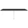 Freestanding Manual Retractable Awning 600x300 cm - Anthracite