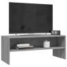 Trendy Grey Sonoma TV Cabinet - 100x40 cm | Hipo Market