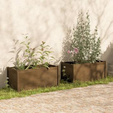 Garden Planters 2 pcs Honey Brown - Solid Pinewood 100x50x50cm