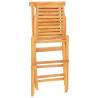 Folding Garden Chairs - 2 Pcs Solid Teak Wood | HipoMarket