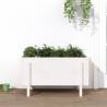 Garden Raised Bed White 101x50x57 cm Solid Wood Pine Colour white pine Size 101 x 50 x 57 cm Quantity in Package 1 