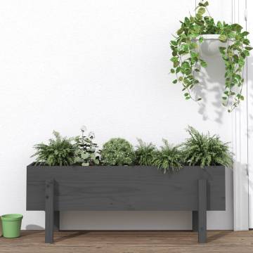 Garden Raised Bed Grey - Solid Wood Pine 101x30x38 cm