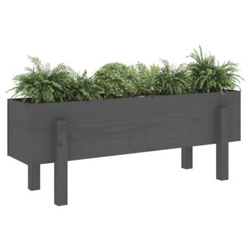 Garden Raised Bed Grey - Solid Wood Pine 101x30x38 cm