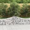 Arched Gabion Baskets 5 pcs 200x50x40/60 cm Galvanised Iron Size 200 x 50 x 40/60 cm Quantity in Package 5 