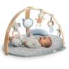 Ingenuity Reversible Activity Gym - Cozy Spot for Babies