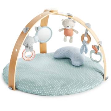 Ingenuity Reversible Activity Gym - Cozy Spot for Babies