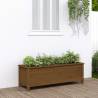 Garden Raised Bed Honey Brown 119.5x40x39 cm Solid Wood Pine Colour honey brown pine Size 119.5 x 40 x 39 cm Quantity in Package 1 